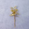 Bouquet feuillage Aurea laiton